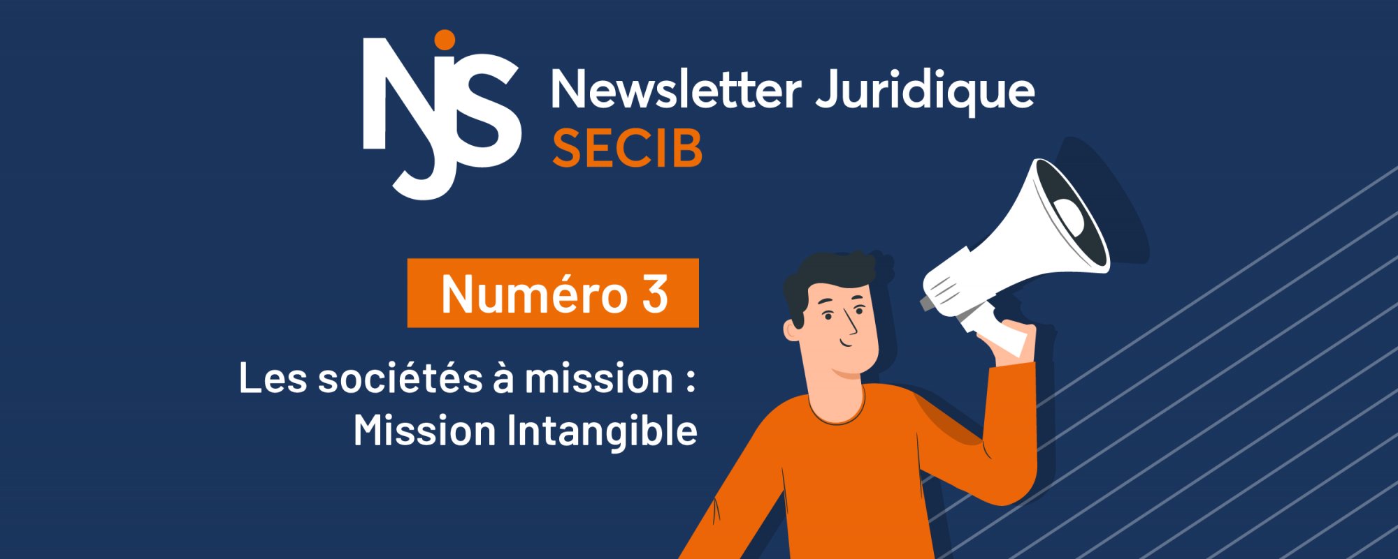 Newsletter Juridique SECIB