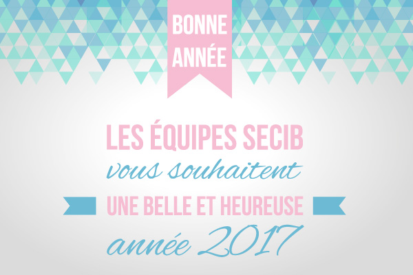 Une très bonne année 2017 à tous ! 